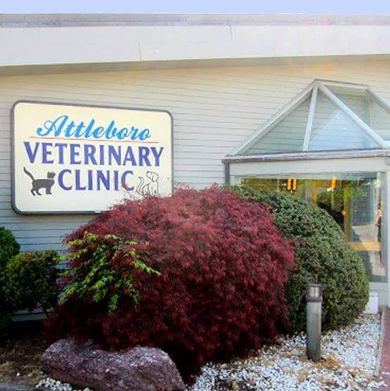 Attleboro Veterinary Clinic 5