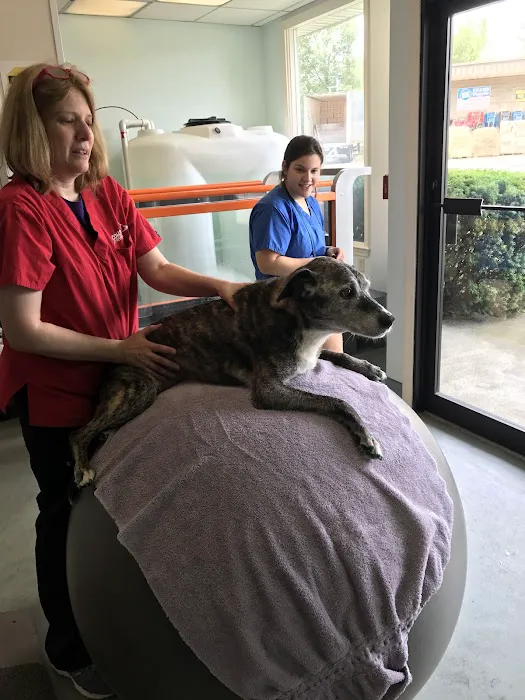 Sterling Impression Animal Rehabilitation Center 3