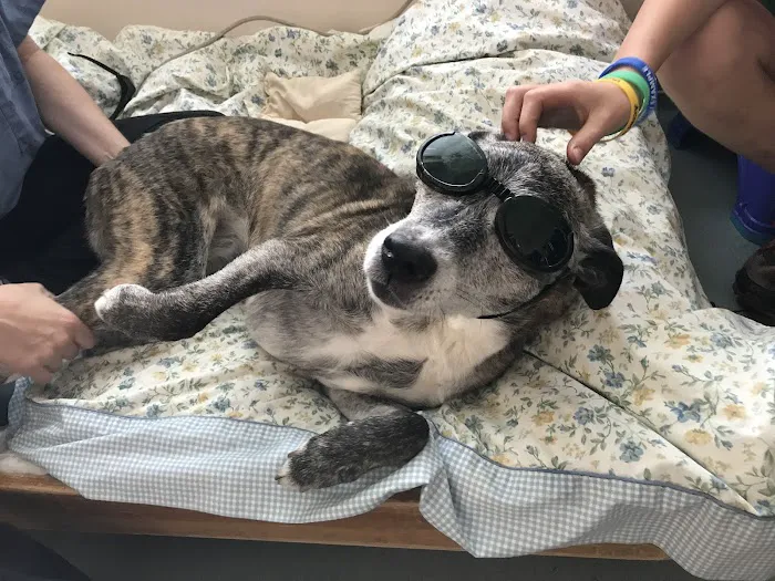Sterling Impression Animal Rehabilitation Center 7