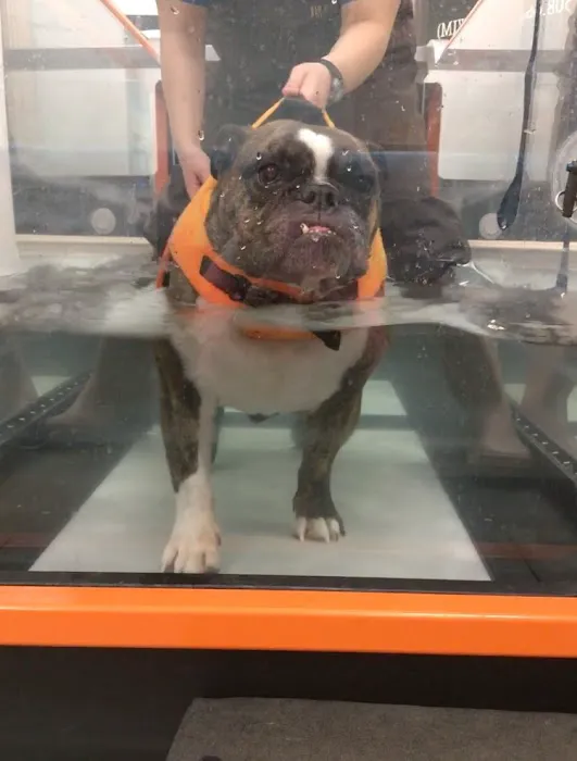Sterling Impression Animal Rehabilitation Center 6
