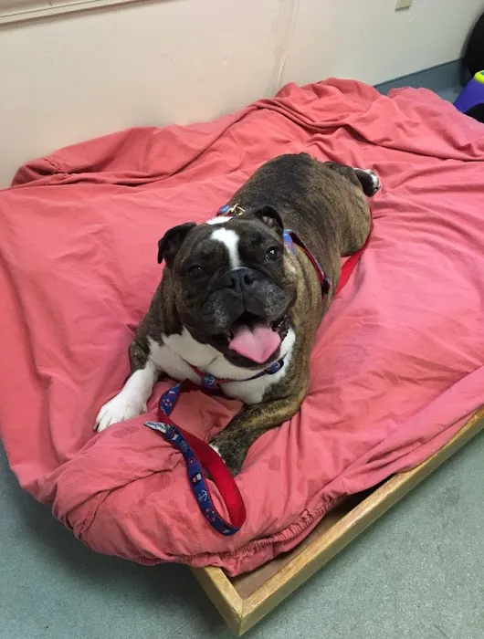Sterling Impression Animal Rehabilitation Center 9