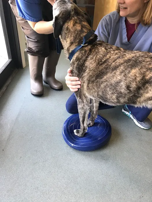 Sterling Impression Animal Rehabilitation Center 8