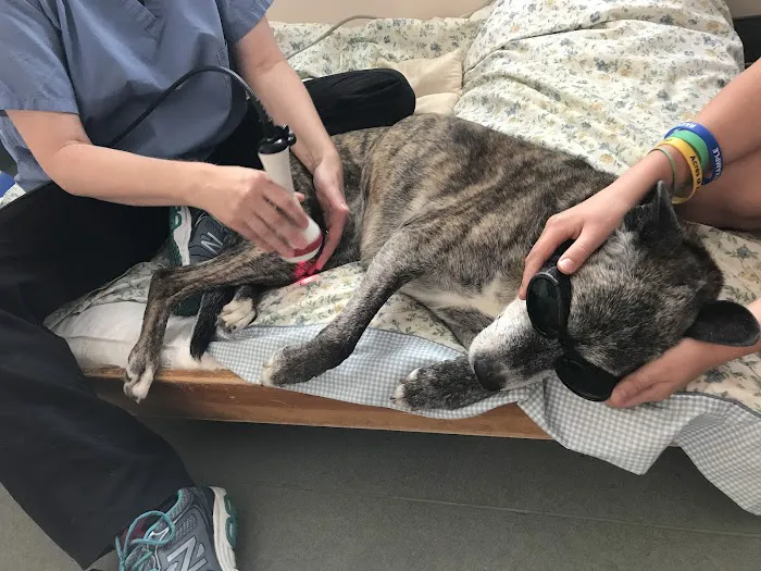 Sterling Impression Animal Rehabilitation Center 5