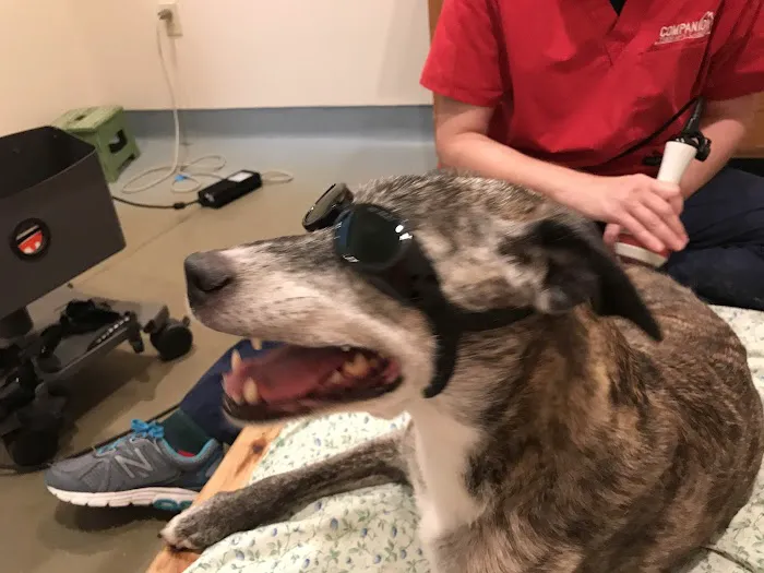 Sterling Impression Animal Rehabilitation Center 4