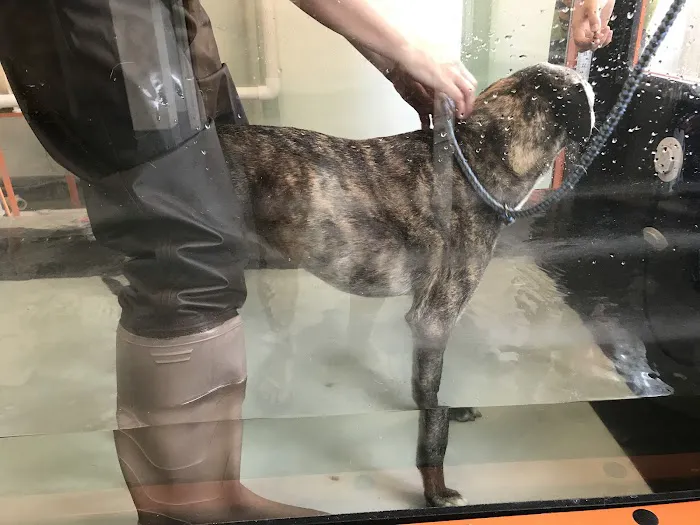 Sterling Impression Animal Rehabilitation Center 2