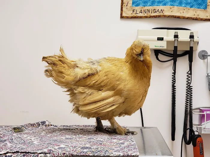 Windhover Veterinary Center 2