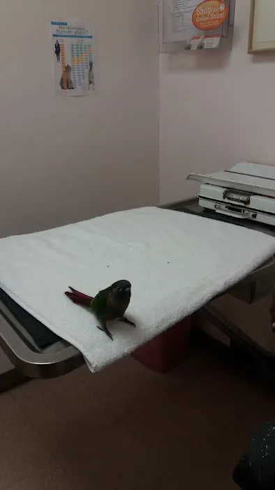 Windhover Veterinary Center 7