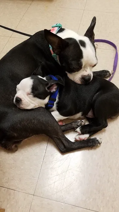 Windhover Veterinary Center 6