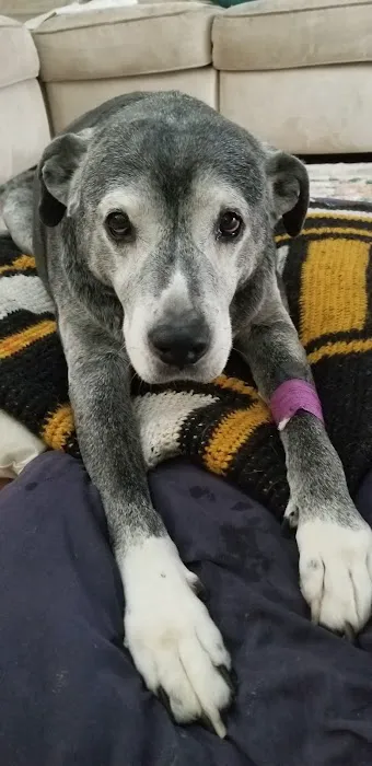 Banfield Pet Hospital 5