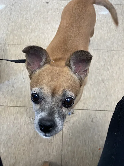 Banfield Pet Hospital 8