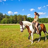 Animal Behavior Associates ico