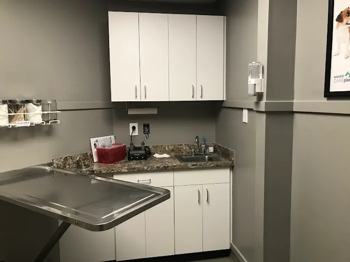 Norwood Animal Hospital, A Thrive Pet Healthcare Partner 8