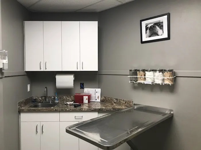Norwood Animal Hospital, A Thrive Pet Healthcare Partner 7
