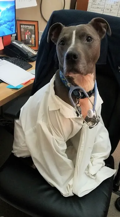Norwood Animal Hospital, A Thrive Pet Healthcare Partner 10
