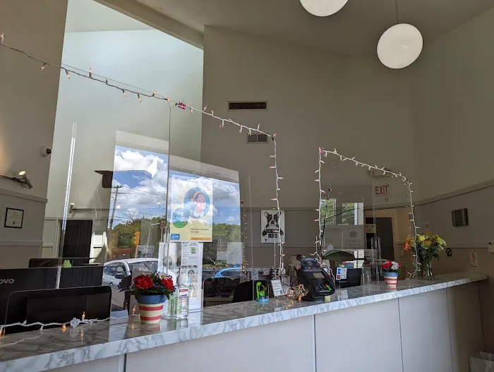 Norwood Animal Hospital, A Thrive Pet Healthcare Partner 3