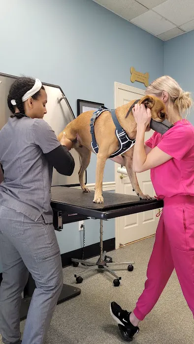 Ashfield Cheyne Veterinary Services 1