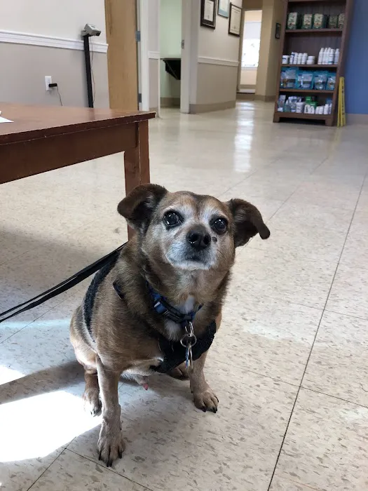 Foxboro Animal Hospital 2