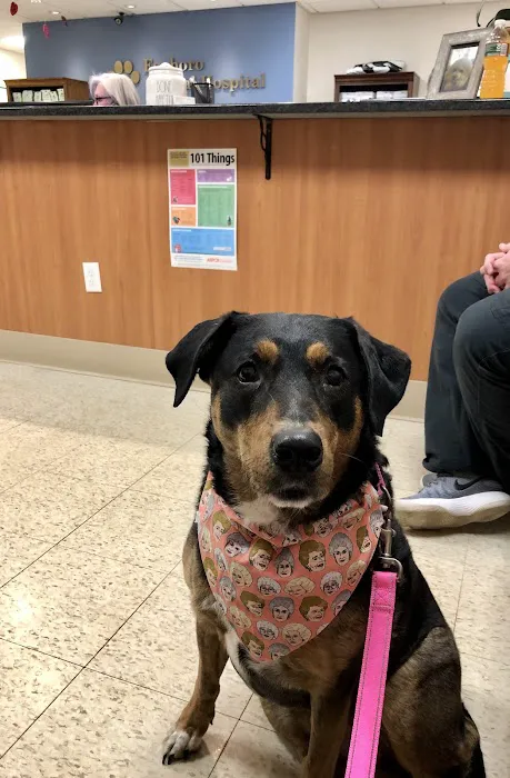 Foxboro Animal Hospital 5
