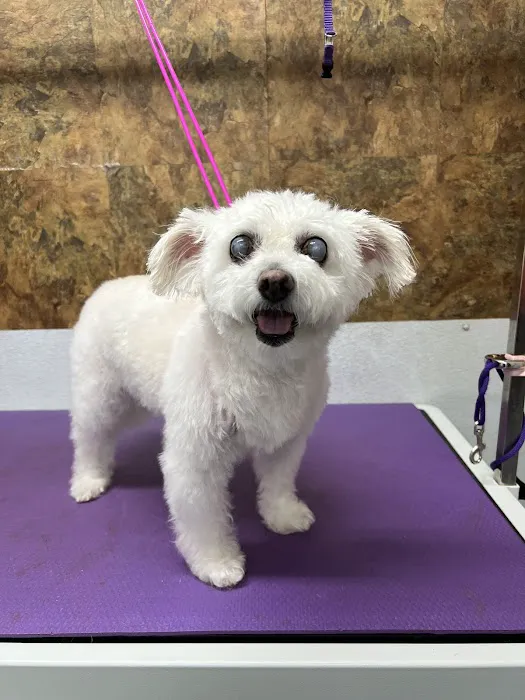 Sharon Veterinary Clinic 3