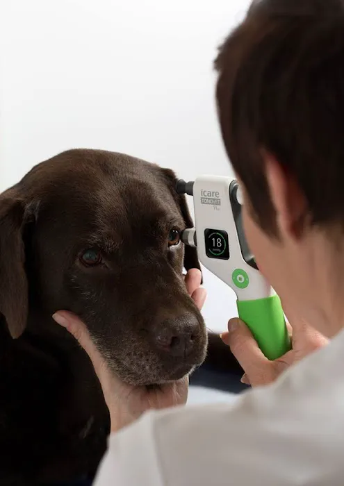 Sharon Veterinary Clinic 8