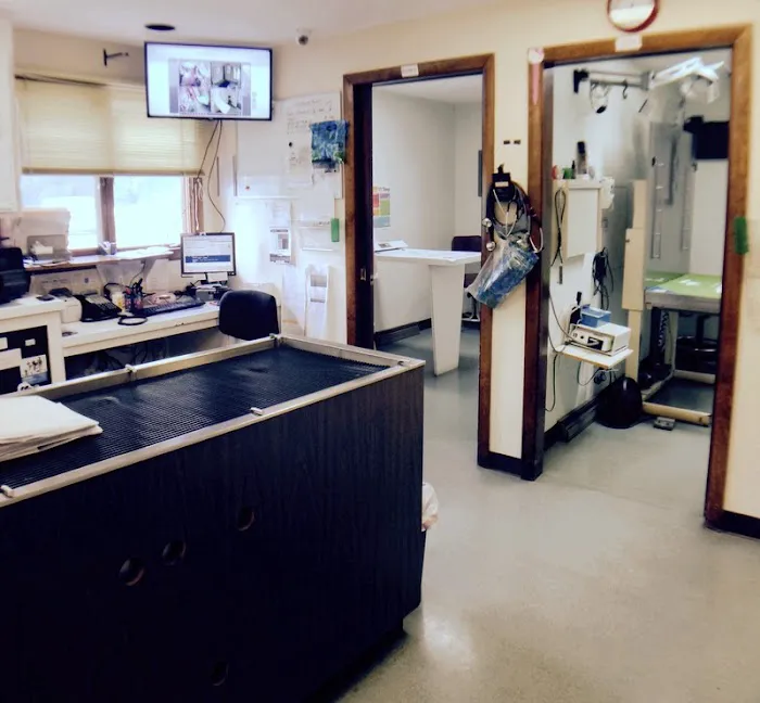 Sharon Veterinary Clinic 6