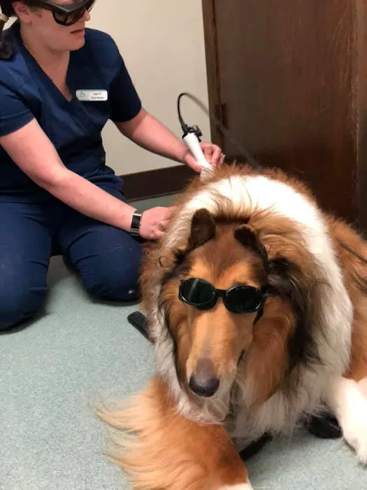 Sharon Veterinary Clinic 4