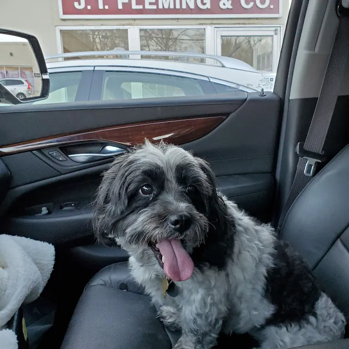 Wellesley Animal Hospital 6