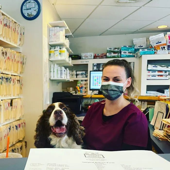 Wellesley Animal Hospital 9
