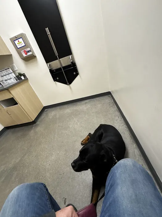 Vetco Total Care Animal Hospital 3