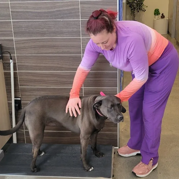 Vetco Total Care Animal Hospital 9