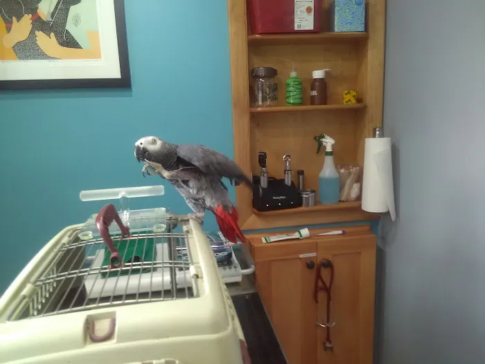 Spinnaker Veterinary Clinic 4