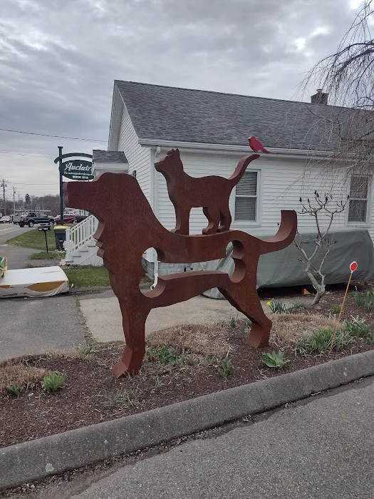 Spinnaker Veterinary Clinic 5