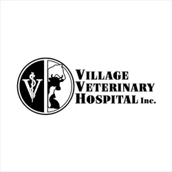 Village Veterinary Hospital 1