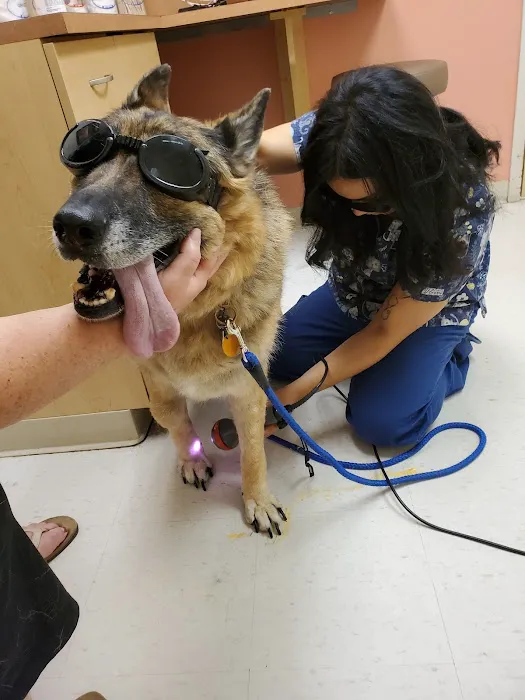 VCA Capeway Animal Hospital 6