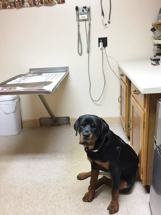 TLC Animal Hospital Rehoboth 4