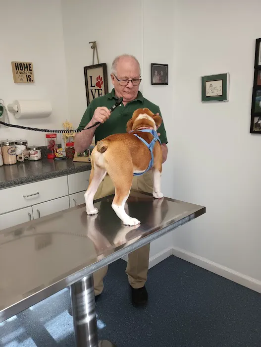 Dighton Rehoboth Animal Hospital, Inc 1