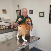 Dighton Rehoboth Animal Hospital, Inc ico