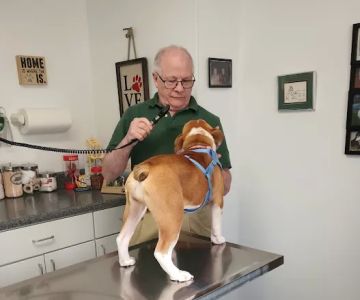Dighton Rehoboth Animal Hospital, Inc