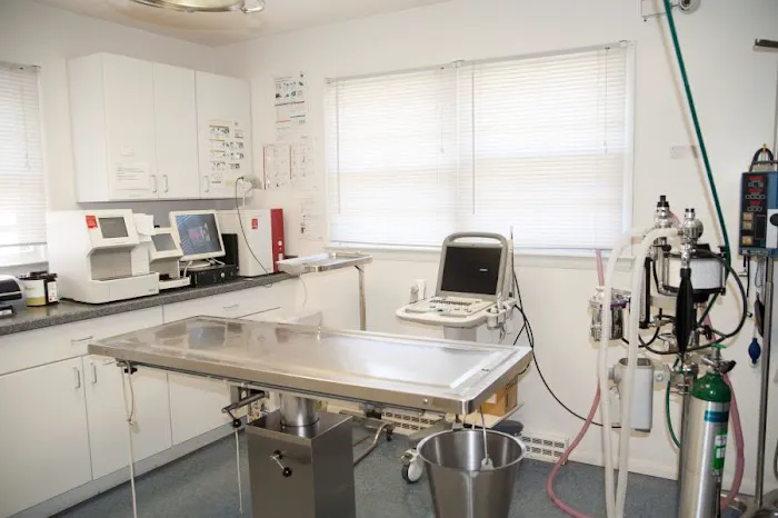 Dighton Rehoboth Animal Hospital, Inc 3