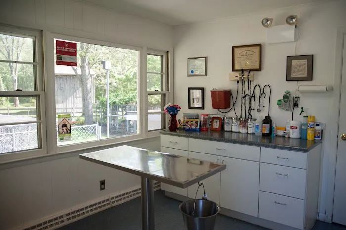 Dighton Rehoboth Animal Hospital, Inc 4