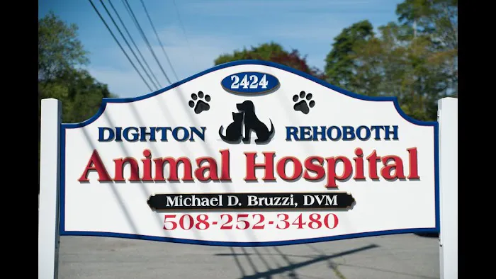 Dighton Rehoboth Animal Hospital, Inc 7