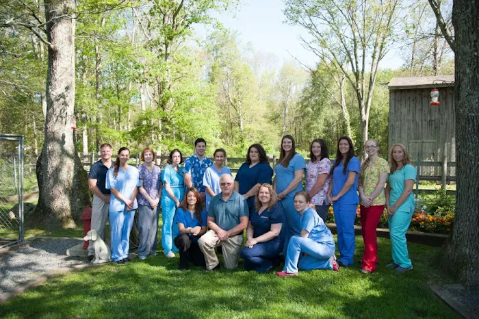 Dighton Rehoboth Animal Hospital, Inc 6
