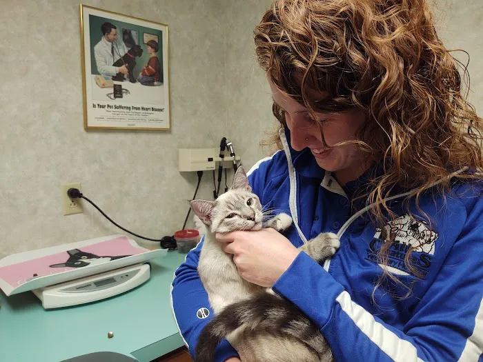 All Creatures Veterinary Hospital 8