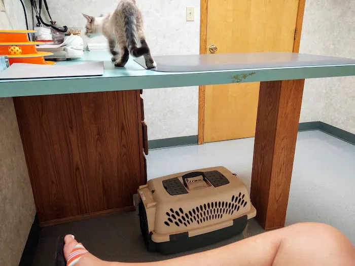 All Creatures Veterinary Hospital 10