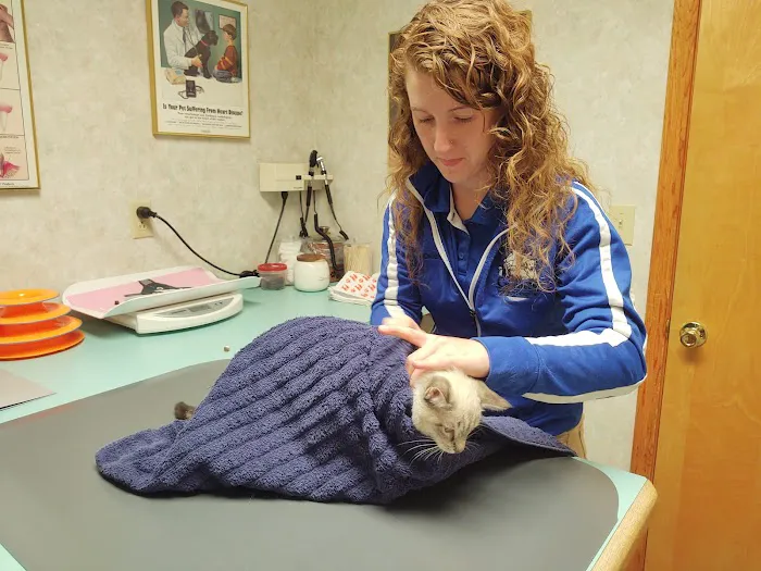 All Creatures Veterinary Hospital 9