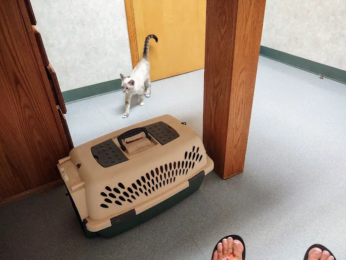 All Creatures Veterinary Hospital 5