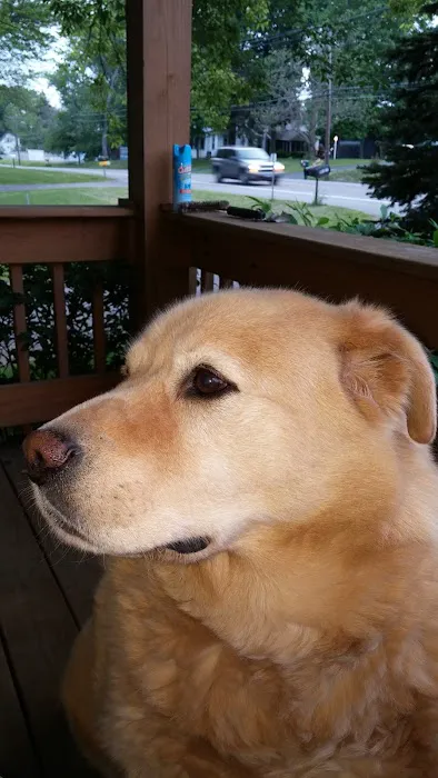 Carolina Beach Animal Hospital 7