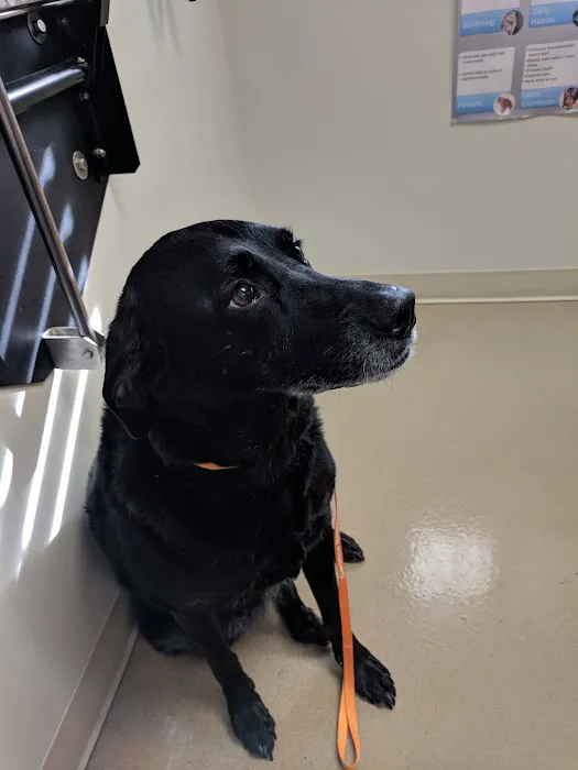 Pleasure Island Animal Hospital 3