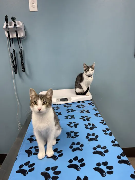 Pleasure Island Animal Hospital 6