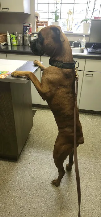 Jefferson Veterinary Hospital 3